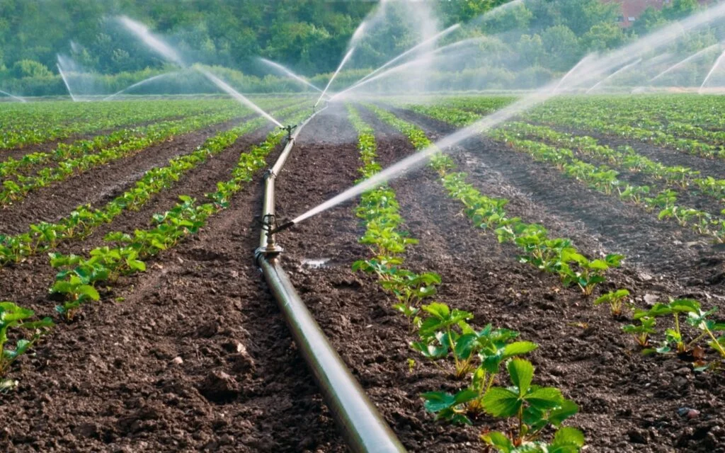 drip irrigation network supplies 1024x640.jpg