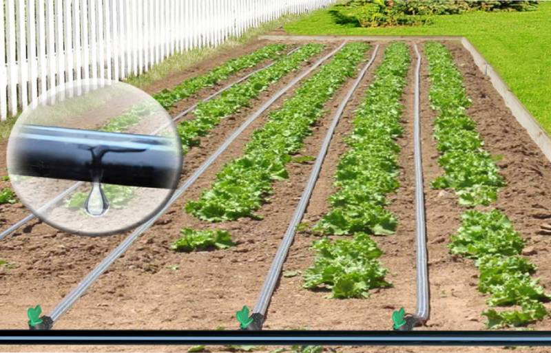 مكونات شبكة الري بالتنقيط
